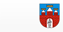 Strona WWW jednostki